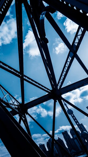 Raipur Speciality Steels Ltd.